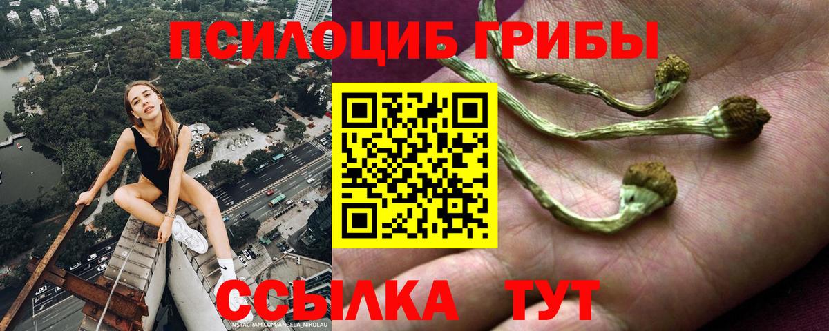 Галлюциногенные грибы GOLDEN TEACHER  Вход с VPN  Галлюциногенные грибы Cubensis  цена наркотик  Семёнов 